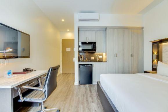 Chambre Deluxe / Kitchenette / Vue sur Mur Vert Artificiel / Animaux Acceptés ($)
